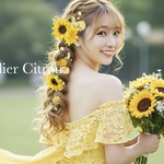 髪飾り ひまわり 向日葵 結婚式 成人式 サンフラワー スイートピー ヘアアクセサリー ヘッドドレス ドライフラワー パール 