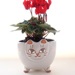 子猫植木鉢 グレー