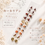 耳つぼジュエリー20粒✧̣̥̇天然石カーネリアン✧̣̥̇チタン粒