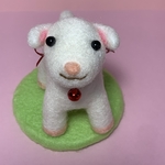 子ヤギのメイちゃん