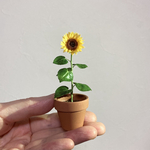 【ミニチュア】ひまわりの鉢植え