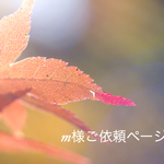m様ご依頼ページ