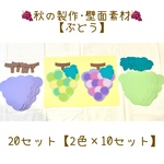 【再販】9月 10月 11月 秋 ぶどう 製作 壁面 保育素材 20セット 2色×10セット 【送料無料】