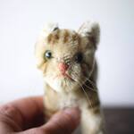 シュタイフ STEIFF ねこ Katze Taspy ドイツ ヴィンテージぬいぐるみ