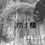 37.5様 専用ページ