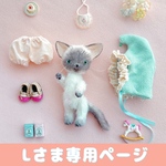 お着替えシャム愛猫ちゃん