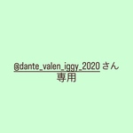 @dante_valen_iggy_2020さん専用