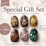 夏のspecial gift set  ネイルチップ　夏ネイル　秋ネイル