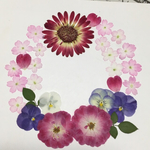 天然押し花素材  49