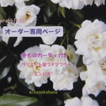 【rozarabbit様】オーダー専用ページ