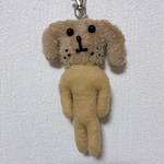サマーカット🐕
