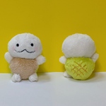リクガメの赤ちゃん　メロンパンカラー