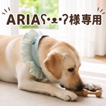 ARIAʕ•ᴥ•ʔ様専用　オーダーセット