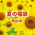 夏の福袋　限定5袋　※無くなり次第終了になります