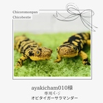 ayakicham010様