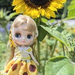 今年最後の新作ひまわりコーデセット ミディブライス着用可能サイズ