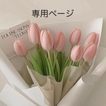 専用ページ