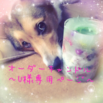 〜U様専用ページ〜