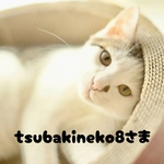 tsubakineko様オーダーけりぐるみ