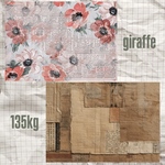 623 ※B品