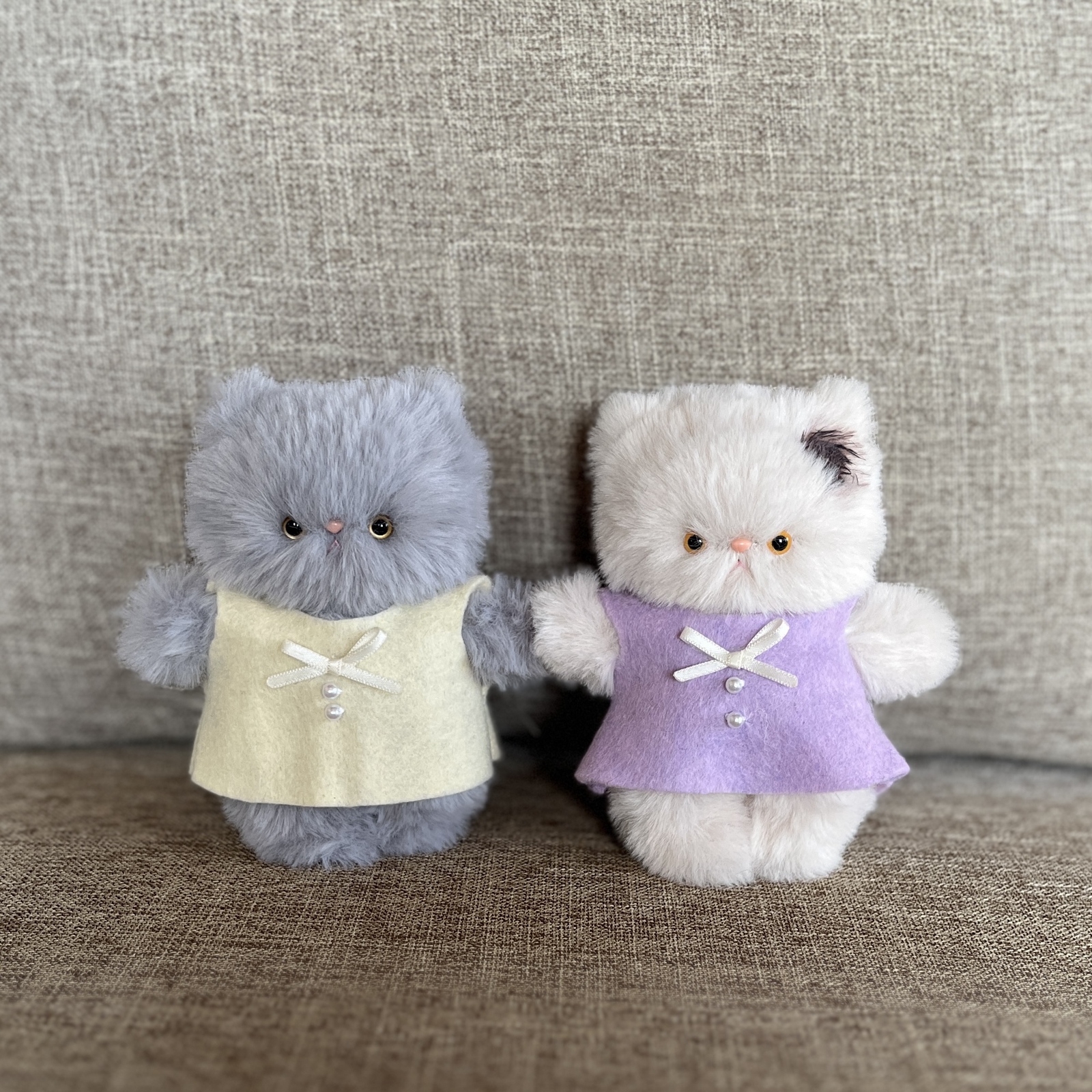 小さなエキゾチックショートヘア - Small and calm | minne byGMO