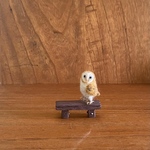 ミニミニメンフクロウ　tiny barn owl