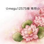 ☆megu12575様 専用ページ☆