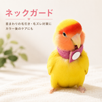 インコ エリザベスカラー(ネックガード) 2個セット・3サイズ