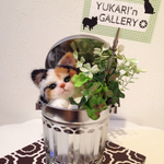 メッセージにゃんこ 【三毛子猫】