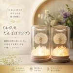 《お供えランプ》綿毛の灯り（LED付き）　御供え　たんぽぽ　あかり　仏花プリザーブドフラワー　お盆　お供え花　お盆　初盆　白提灯　お彼岸　仏事　法要　供養　仏壇　おそなえ　お盆花　仏花　盆提灯　お彼岸