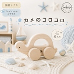 かわいいカメのコロコロ