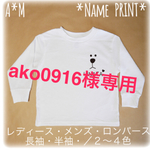 ako0916様専用です✩