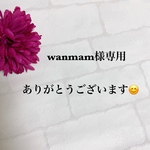 wanmam様専用