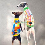 【イタグレ ウィペット】Comme des bonbons