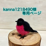 kanna1218490様専用ページ(ピンクロビン)