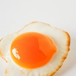FriedEgg