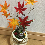 どんぐり人形紅葉飾り