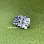 ユキヒョウ　帯留め　　　Snow leopard Obidome