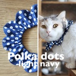 《ザビエルタイプ》ポルカドット ライトネイビー　4サイズ　猫の首輪