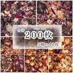 デザインペーパー 【Vintage Halloween】 200枚セット