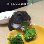 0218chibimin様専用ページ