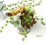 group planting（多肉植物フェイク）再販