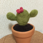 羊毛うちわサボテン（ぴんく）