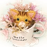 バケツ猫　茶トラ