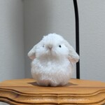 在庫あり　おもちみたいなふわふわうさぎさん　ぬいぐるみ　フロスティ　ロップイヤー