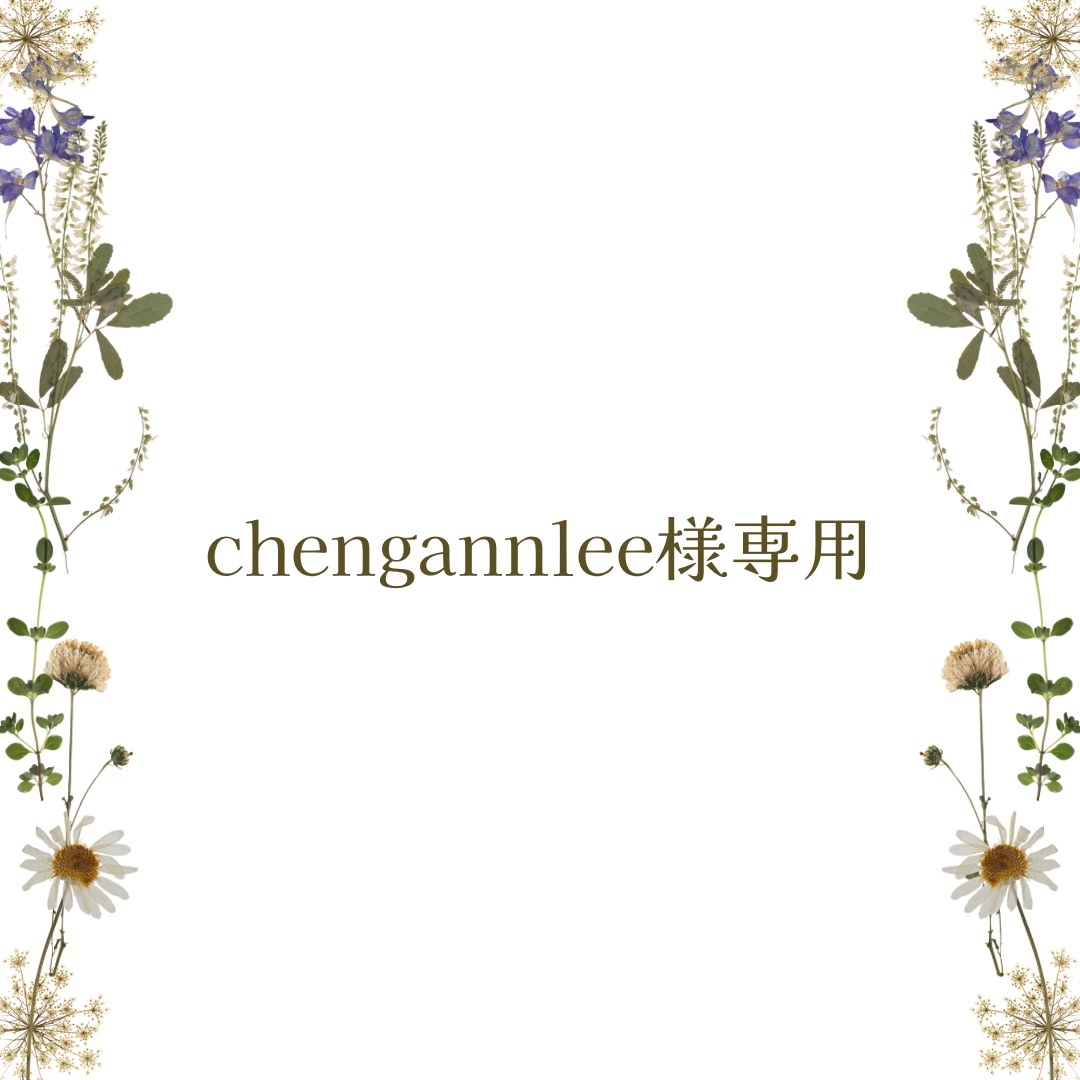 【chengannlee様専用】 美濃焼タイルのミニツケタイルイヤリング 19,125円