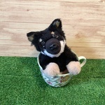 m様愛犬ちゃんオーダーメイド品(13センチ) 縫いぐるみ