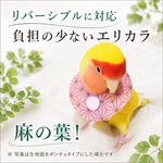 インコ エリザベスカラー（麻の葉）１枚・３サイズ・4ｇ