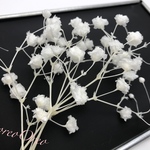 2倍に増量♡かすみ草 ホワイト プリザーブドフラワー 