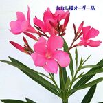ななし様オーダー品
